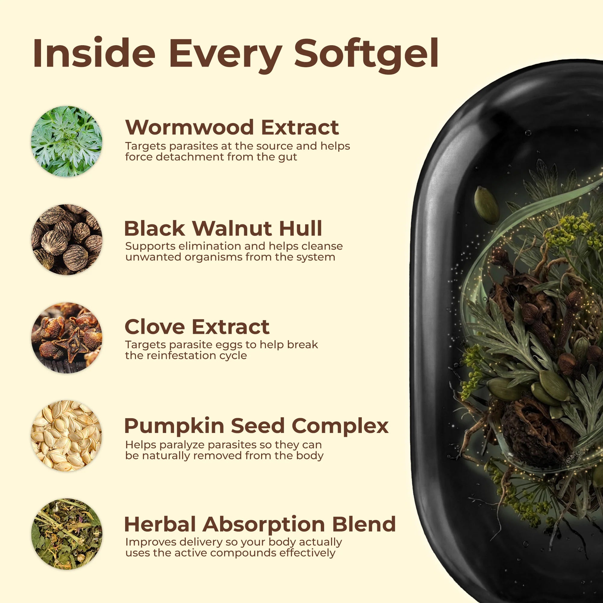 Wormwood Black Walnut Cloves