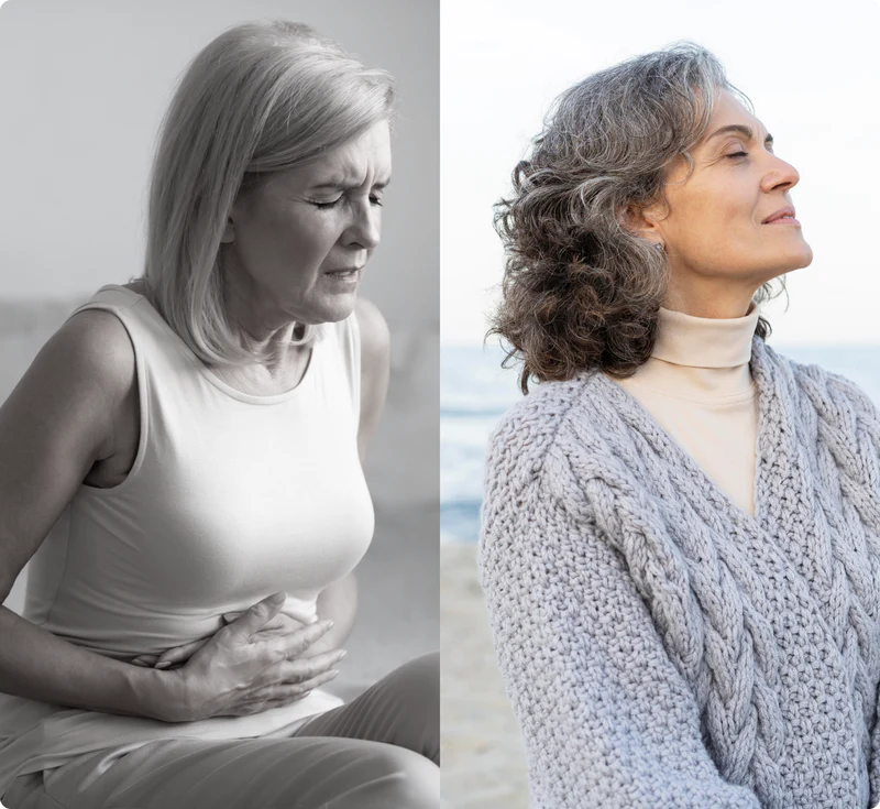 Discover Why Experts Are Turning to Holior for